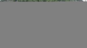 Geissl Spitze 2026-06-20 13:00